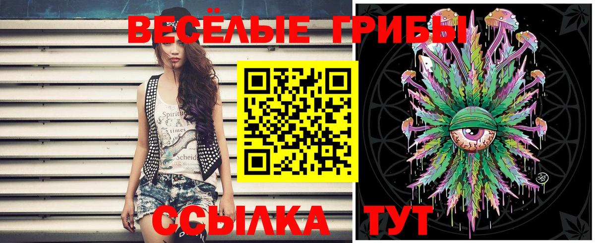 Alpha-PVP СК   Сунжа  Каннабис  MDMA  ГАШ  Cocaine  Вейп ТГК  Вход с VPN  Мефедрон   Метамфетамин 