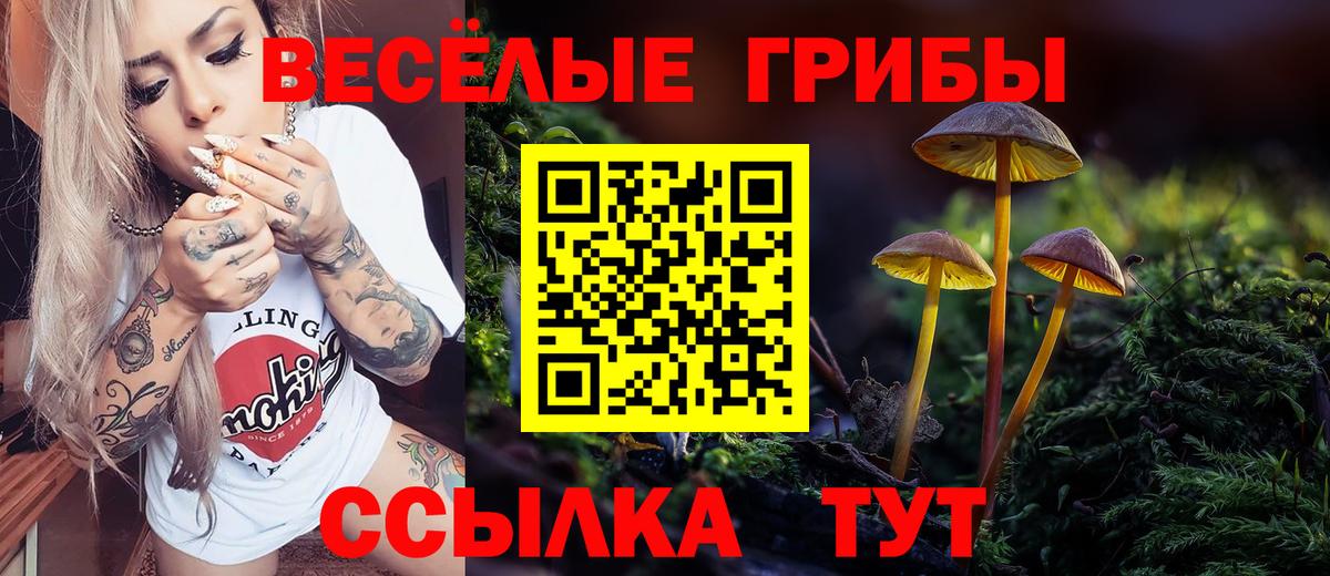 Галлюциногенные грибы Psilocybine cubensis Сунжа