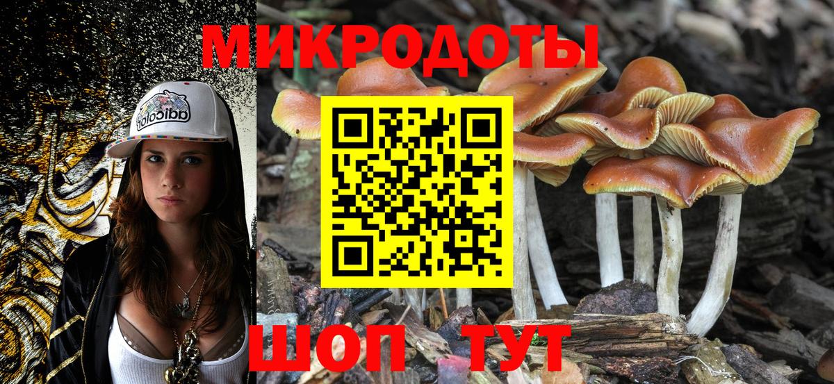 купить  сайты  Вход с VPN  Сунжа  Псилоцибиновые грибы Psilocybe 